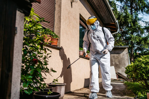 Best Residential Pest Control  in Rouse, CA