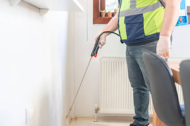 Best Ant Control Services  in Rouse, CA