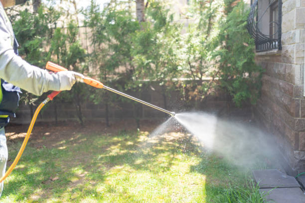 Best Termite Control Services  in Rouse, CA