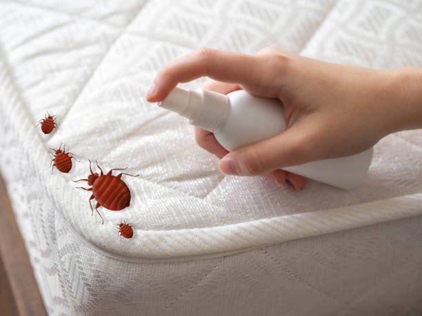 Best Exterminator Services  in Rouse, CA