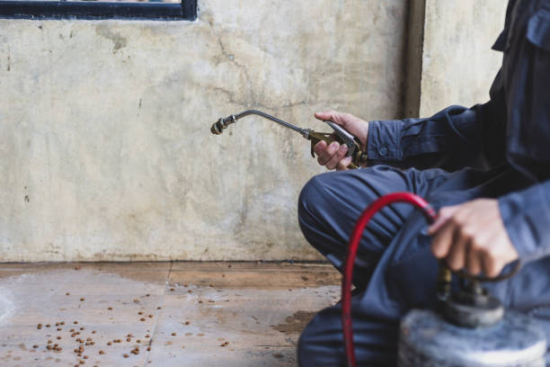 Best Pest Control Near Me in Rouse, CA